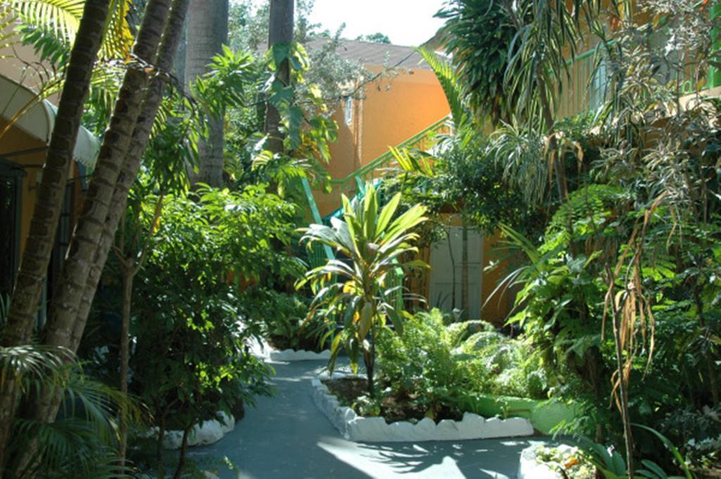 Our Past Time Hotel Νεγκρίλ Εξωτερικό φωτογραφία